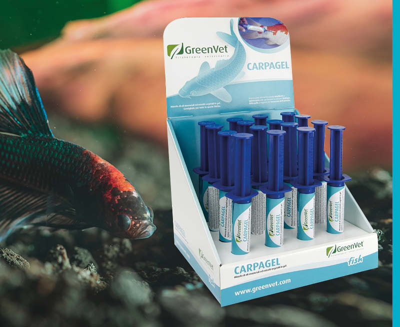 greenvet topical use products for aquarium fish