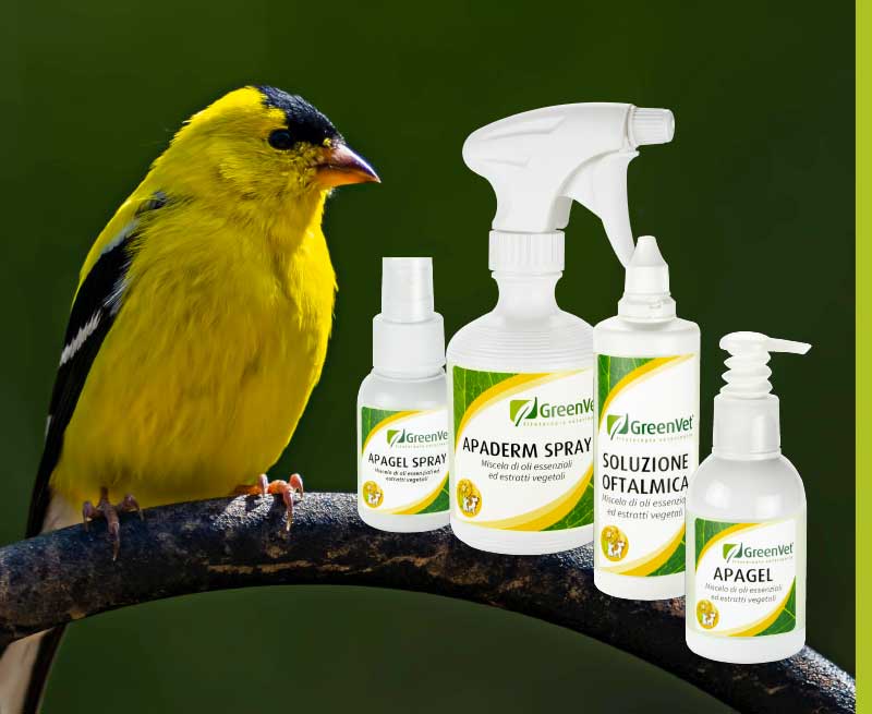greenvet topical use products for canaries and exotic birds