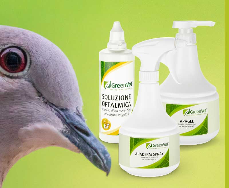 greenvet topical use products for pigeons