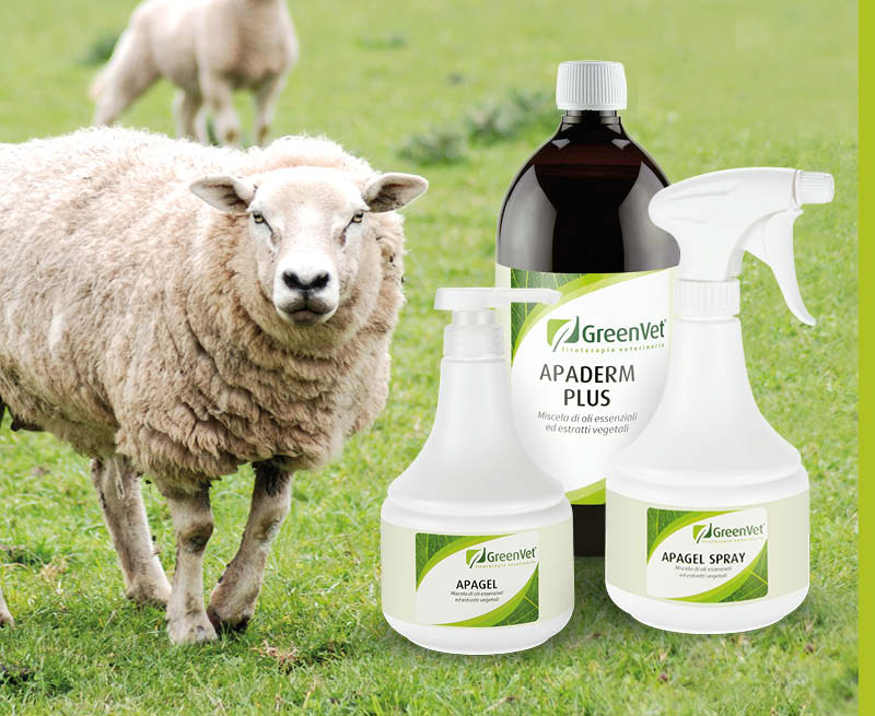greenvet topical use products for sheep and goats
