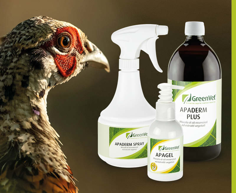 greenvet topical use products for game birds