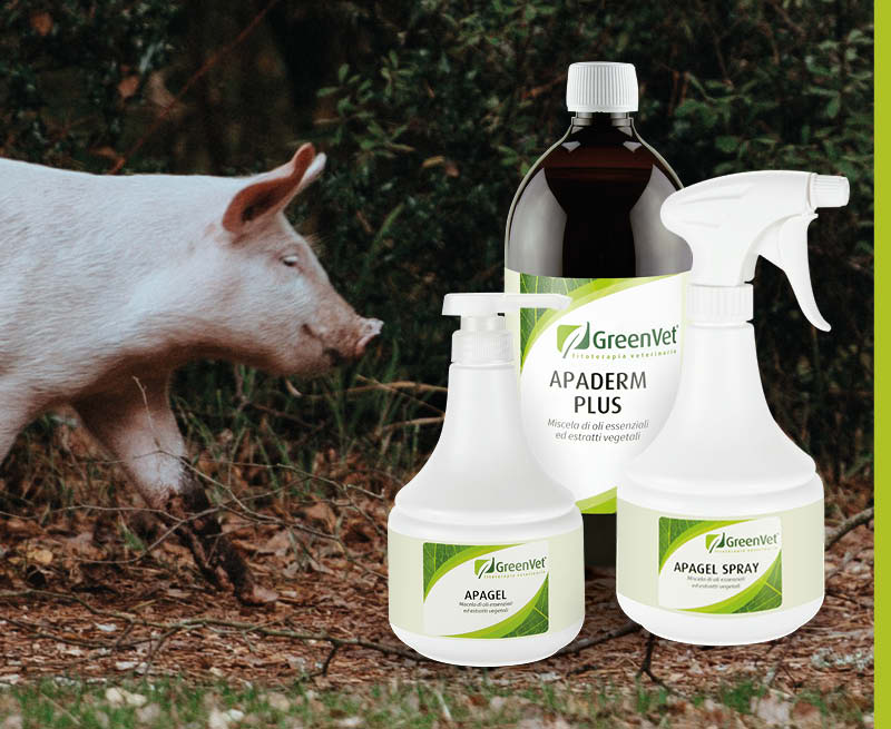 greenvet topical use products for swine
