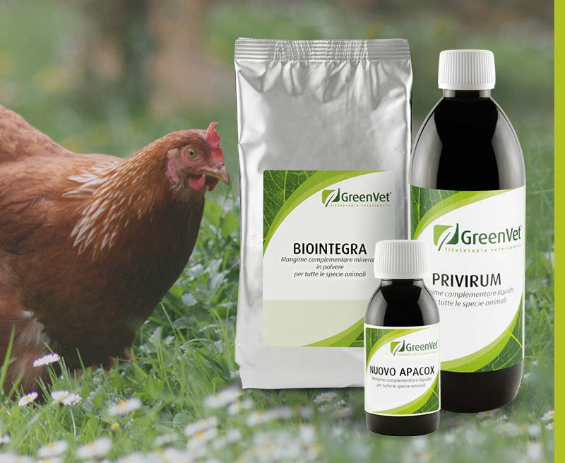 GreenVet Výživové produkty pre hydinu