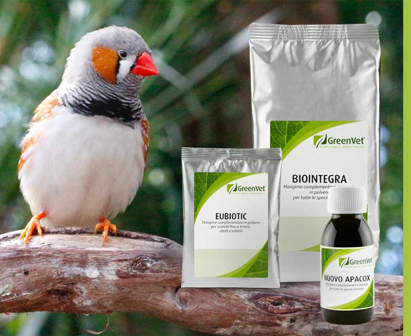 GreenVet Výživové produkty pre kanáriky a exotické vtáky