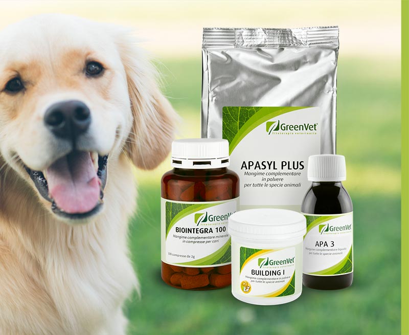 greenvet nutritional feed products for dogs