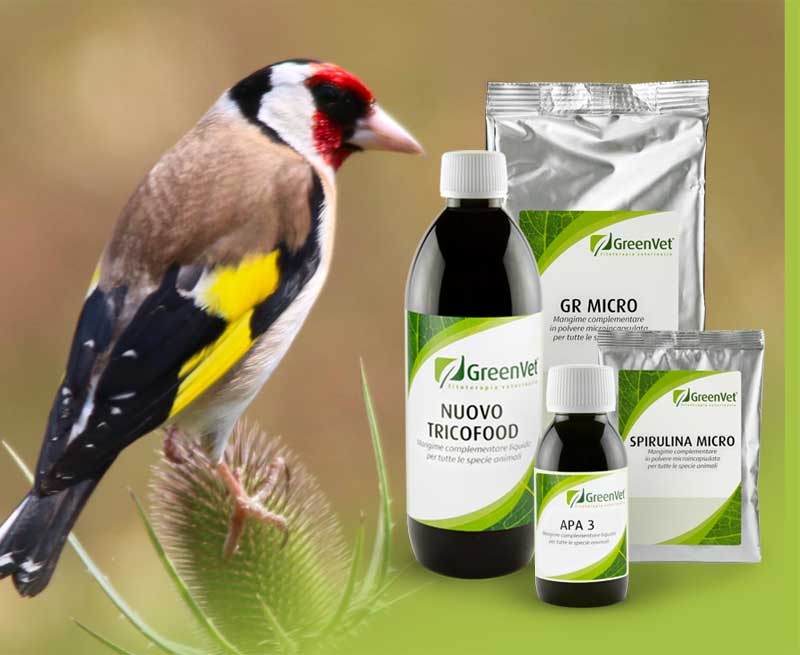 greenvet nutritional feed products for goldfinches and woodland birds