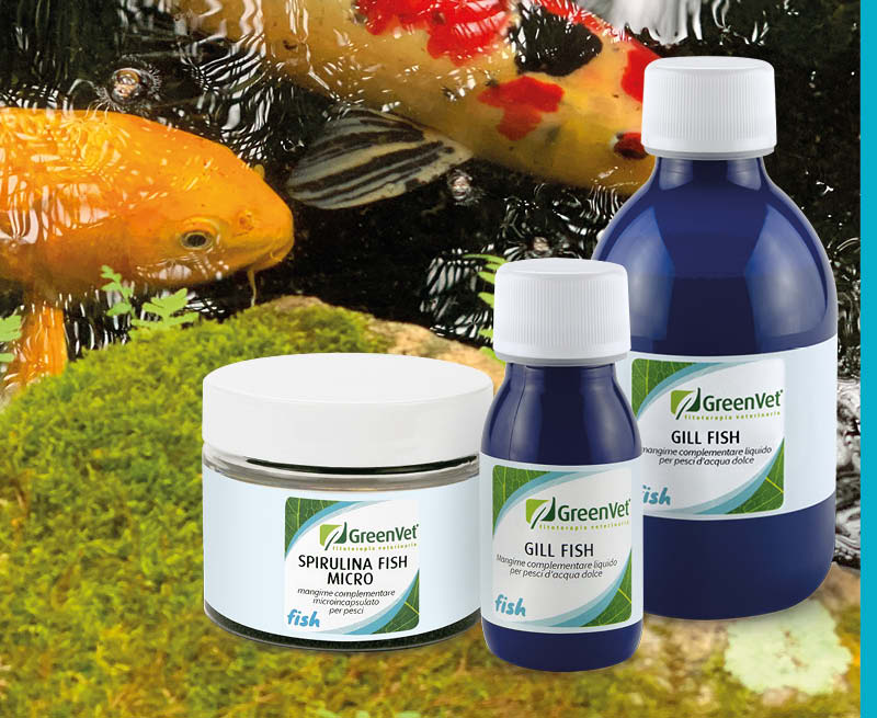 GreenVet Výživové produkty pre koi kapra