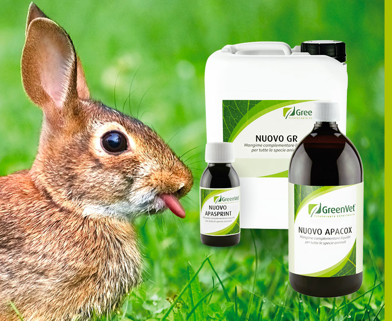 greenvet nutritional feed products for rabbit farming