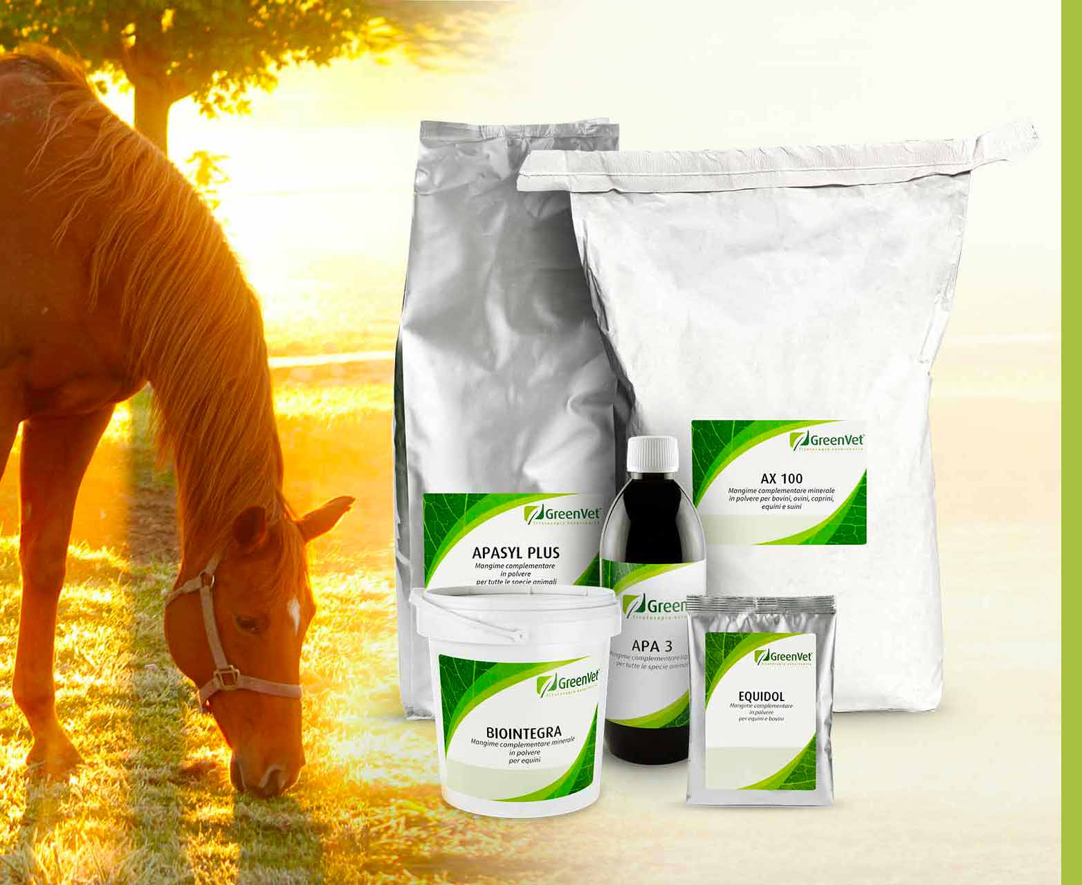 greenvet nutritional feed products for equines