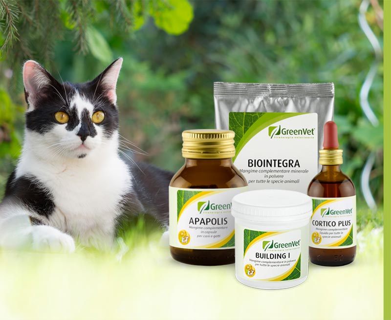 greenvet nutritional feed products for cats