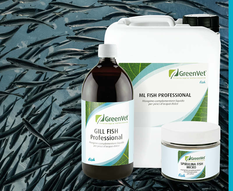 greenvet nutritional feed products for farmed fish