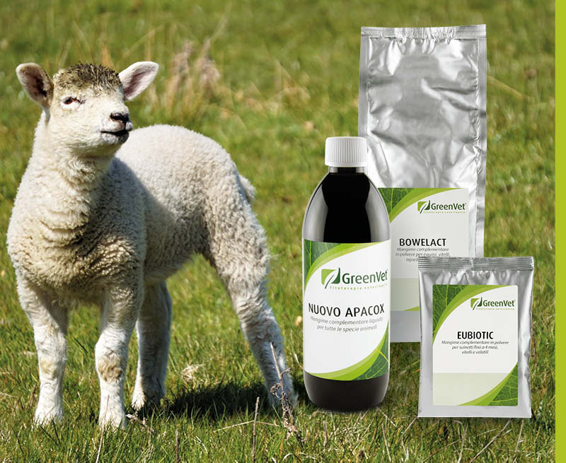 greenvet nutritional feed products for sheep and goats