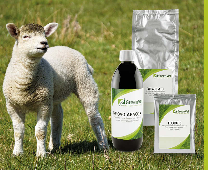 GreenVet Výživové produkty pre ovce a kozy