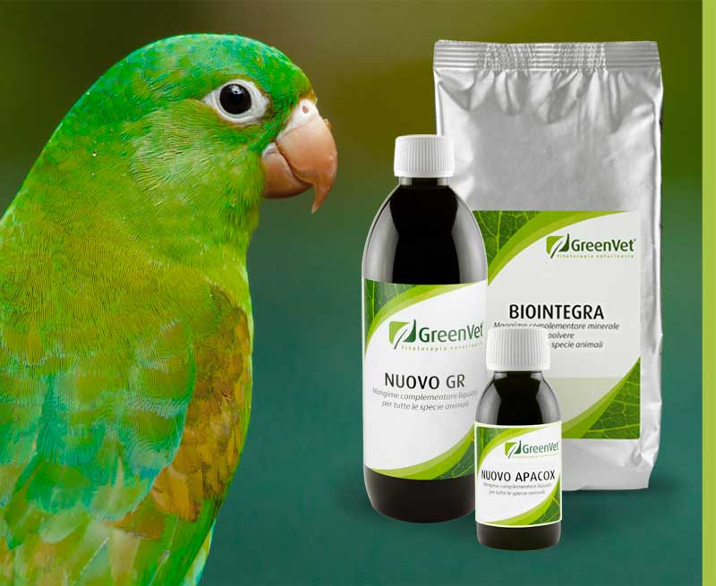 greenvet nutritional feed products for parrots