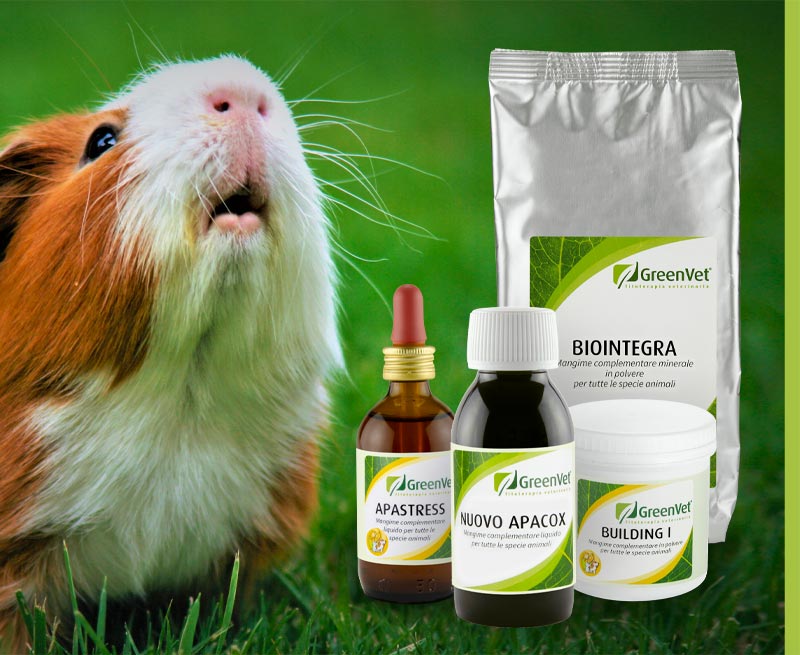 greenvet nutritional feed products for rodents