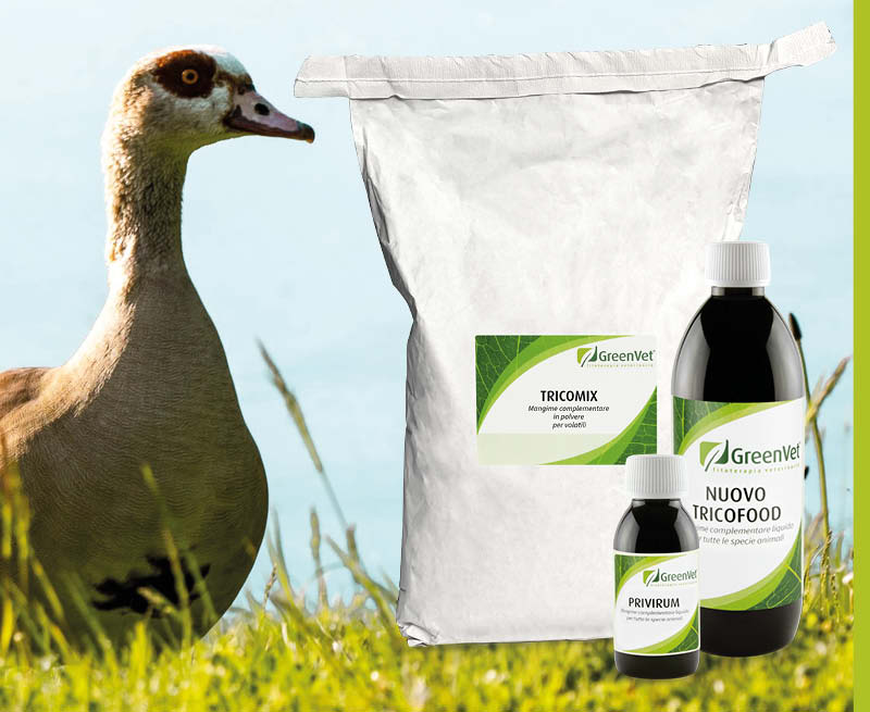 GreenVet Výživové produkty pre lovnú zver