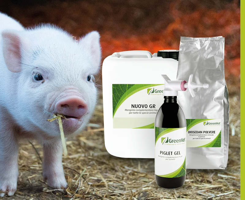 greenvet nutritional feed products for swine