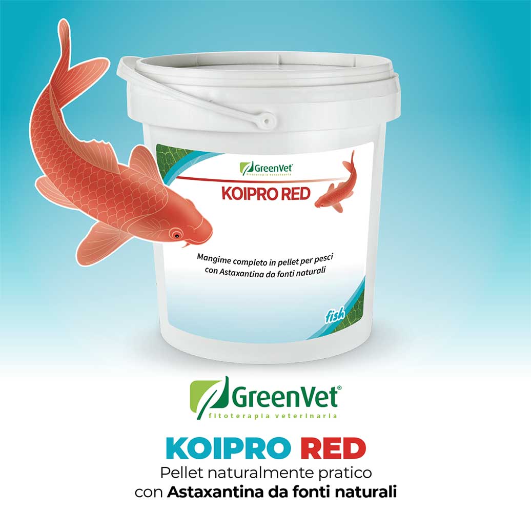 greenvet pro green mangime naturale per pesci d'acqua fredda